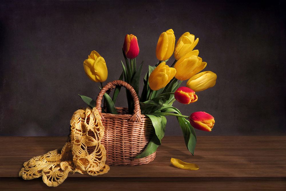 Фотография автора Алла Шевченко