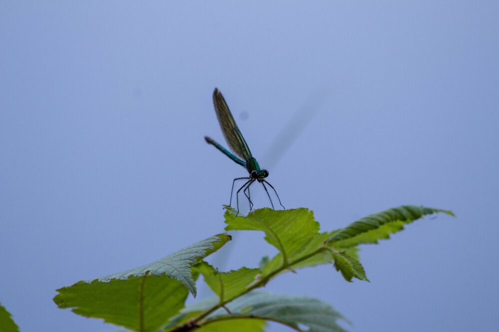 Photograph by Мари Полищук