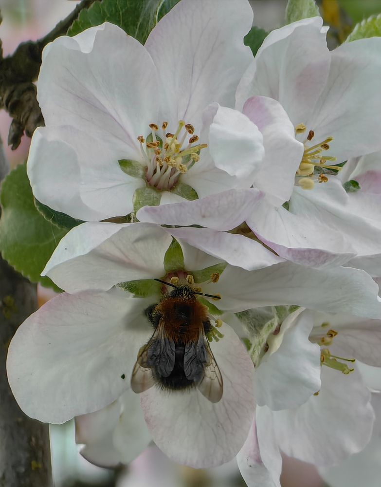 Фотография автора Ольга Панасюк