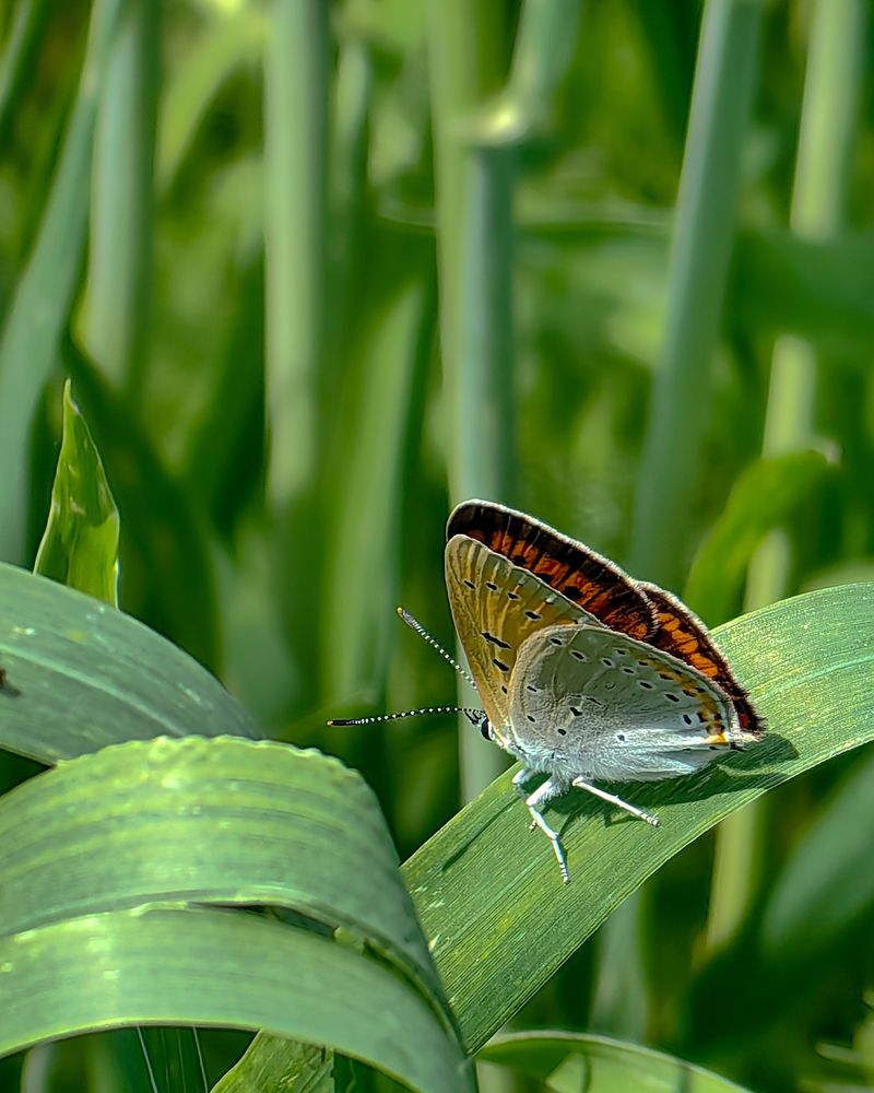 Photograph by Наталья Балабанова