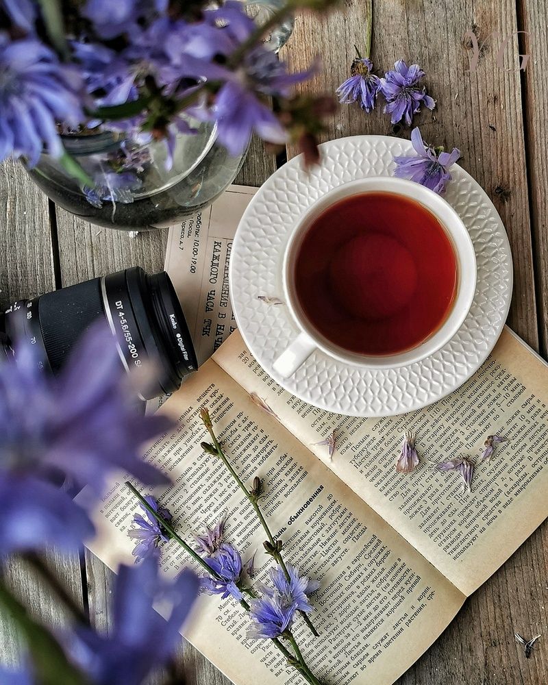 Photograph by Юлия Гриценко