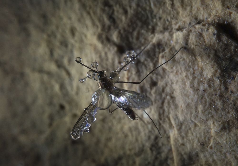 Photograph by Лена Максимкина