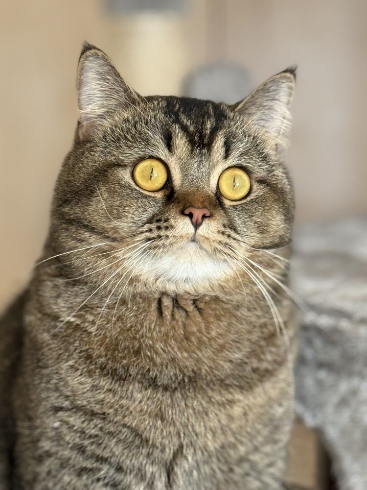 Photograph by Марина Дикманн