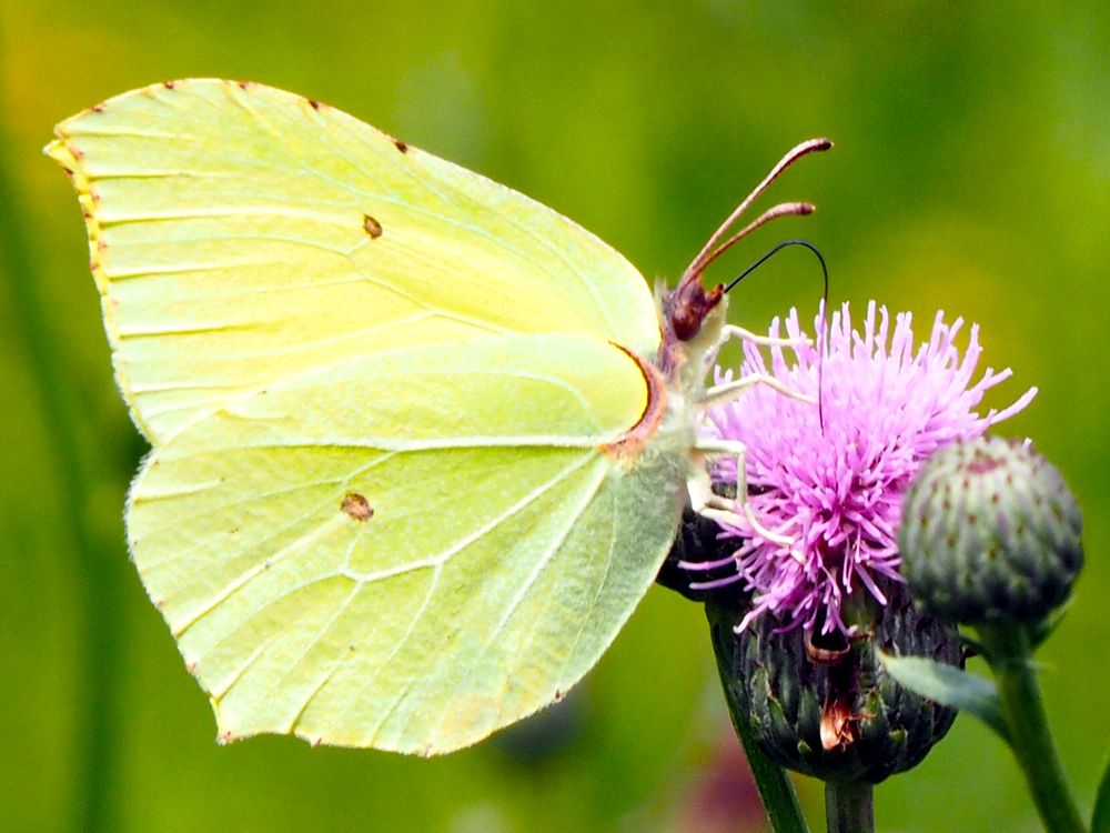 Photograph by Олег