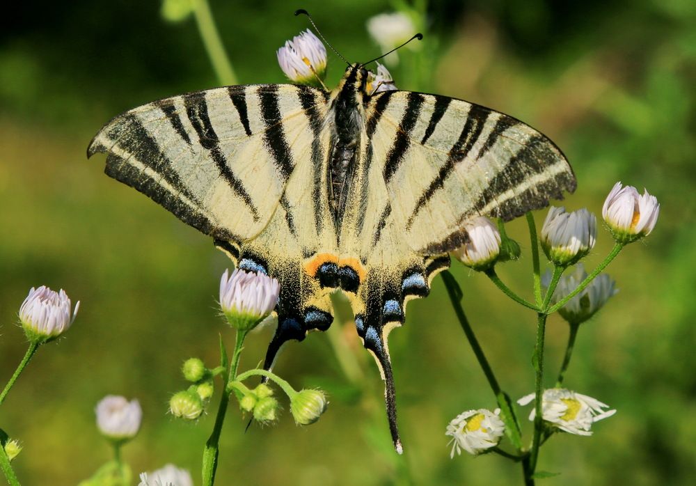 Фотография автора Сергей Кульков