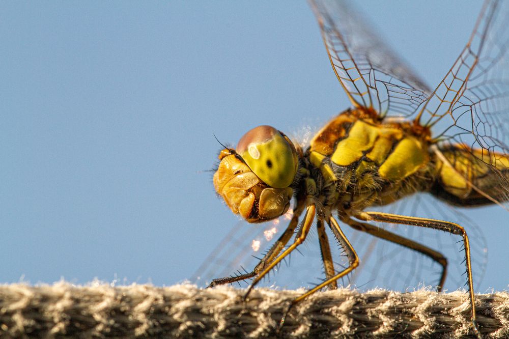 Photograph by Павел Васенин
