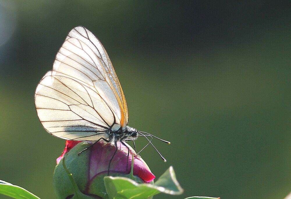 Photograph by Тамара Кремлева