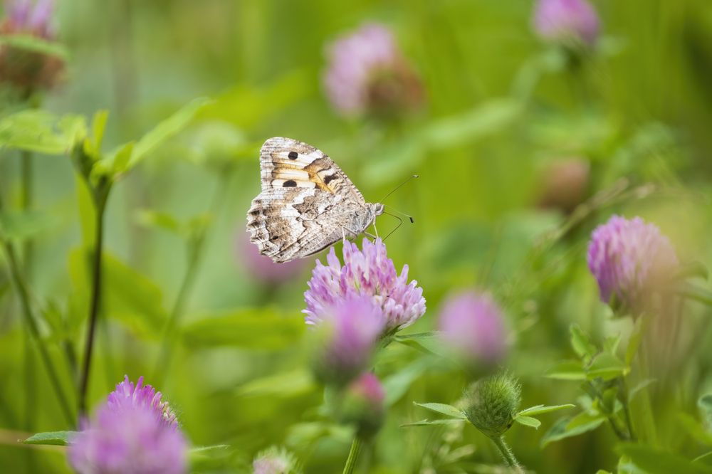 Photograph by Светлана Краюшкина