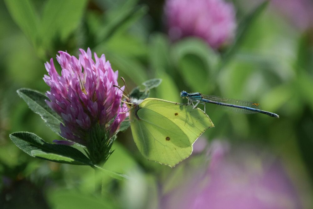 Photograph by Надежда Кузьмина