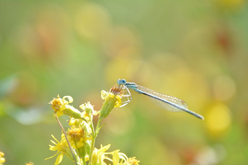 Photograph by Надежда Кузьмина