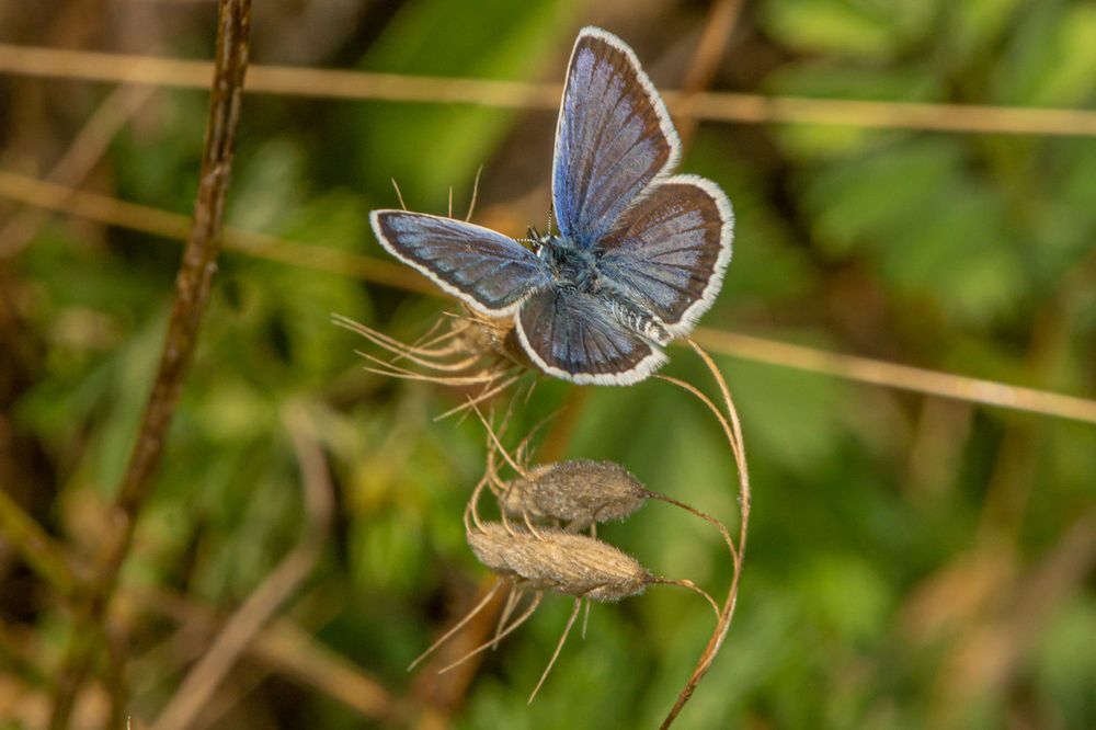 Photograph by Виталий Маслов