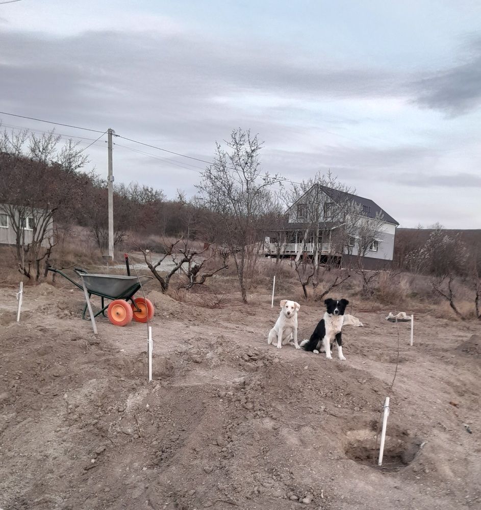 Весна.