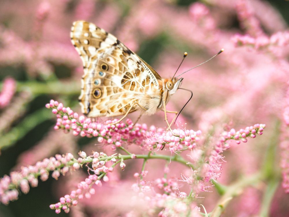 Photograph by Светлана Шибаршина