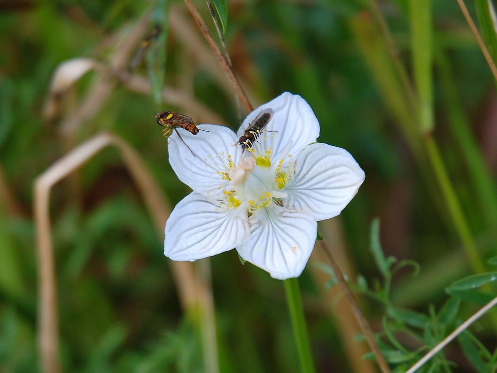 Photograph by Юрий Тимофеев