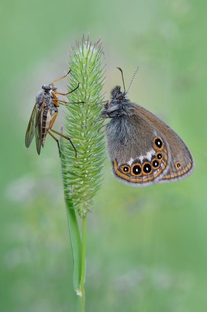 Душевная беседа.
