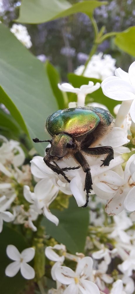 Photograph by Светлана Цапина