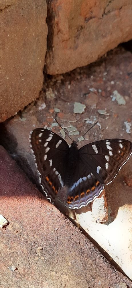 Photograph by Светлана Цапина