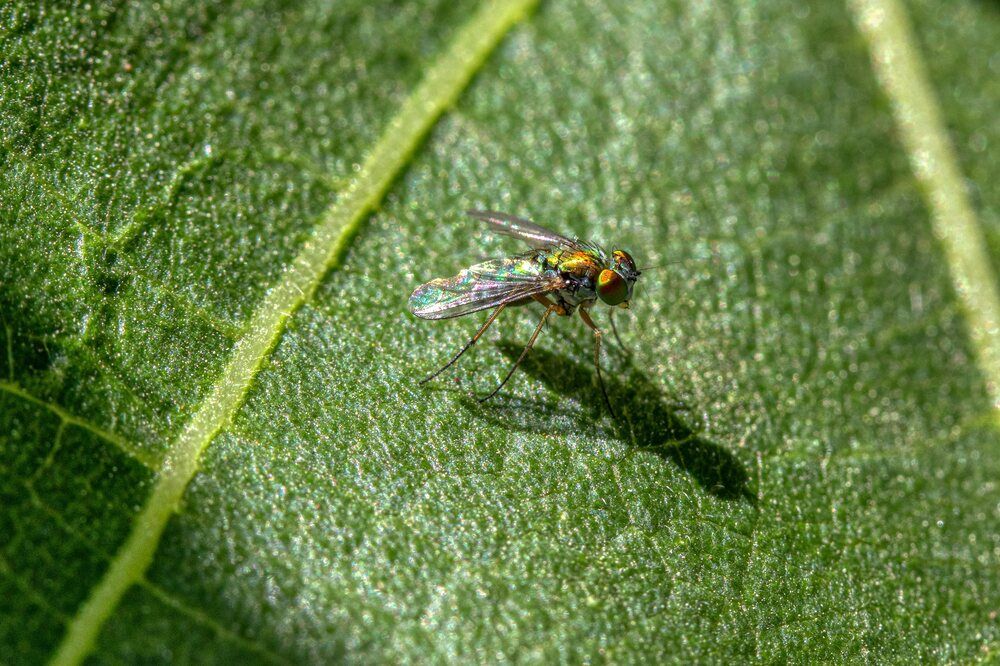 Photograph by Анатолий Костерев