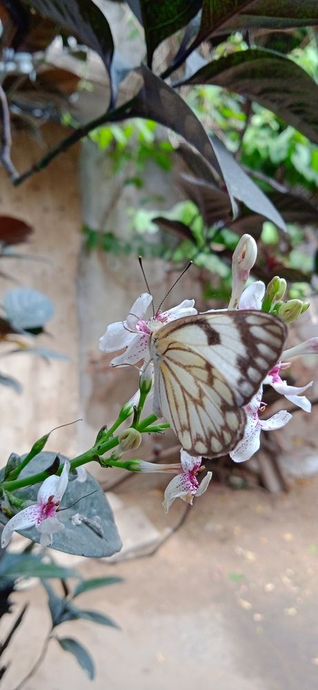 Photograph by Yasha Akhtar