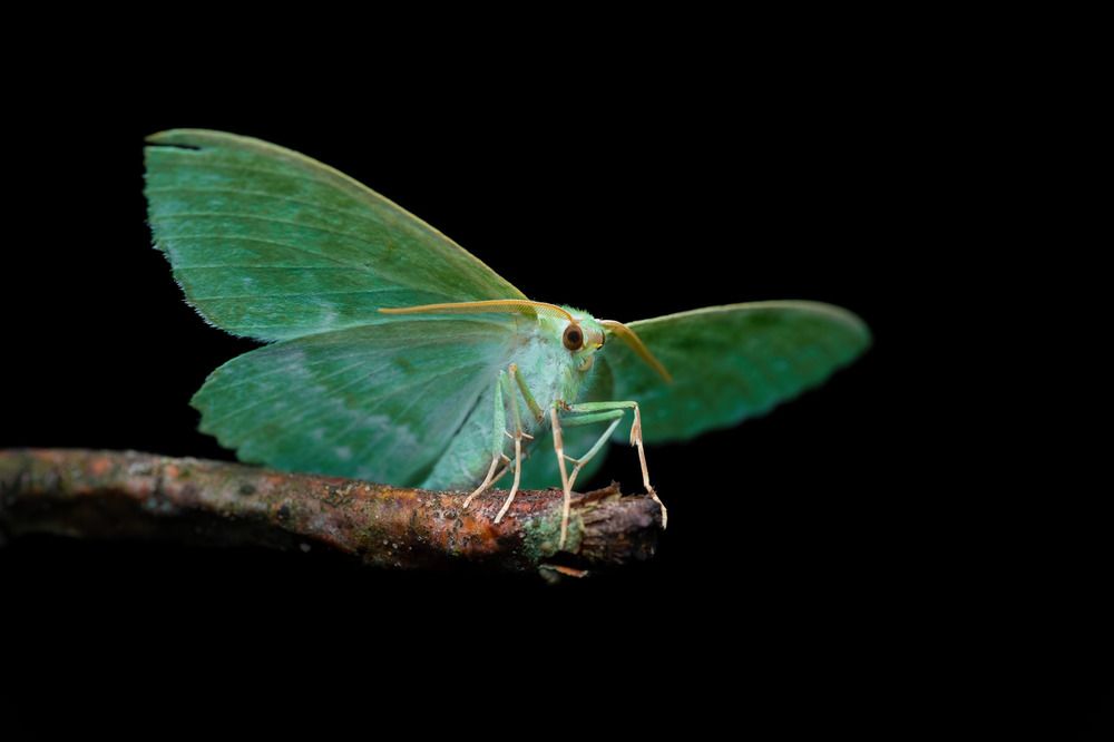 Photograph by Anton Orlenko