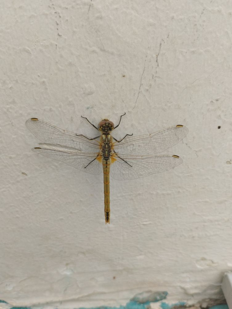 Photograph by Владислав Степанов