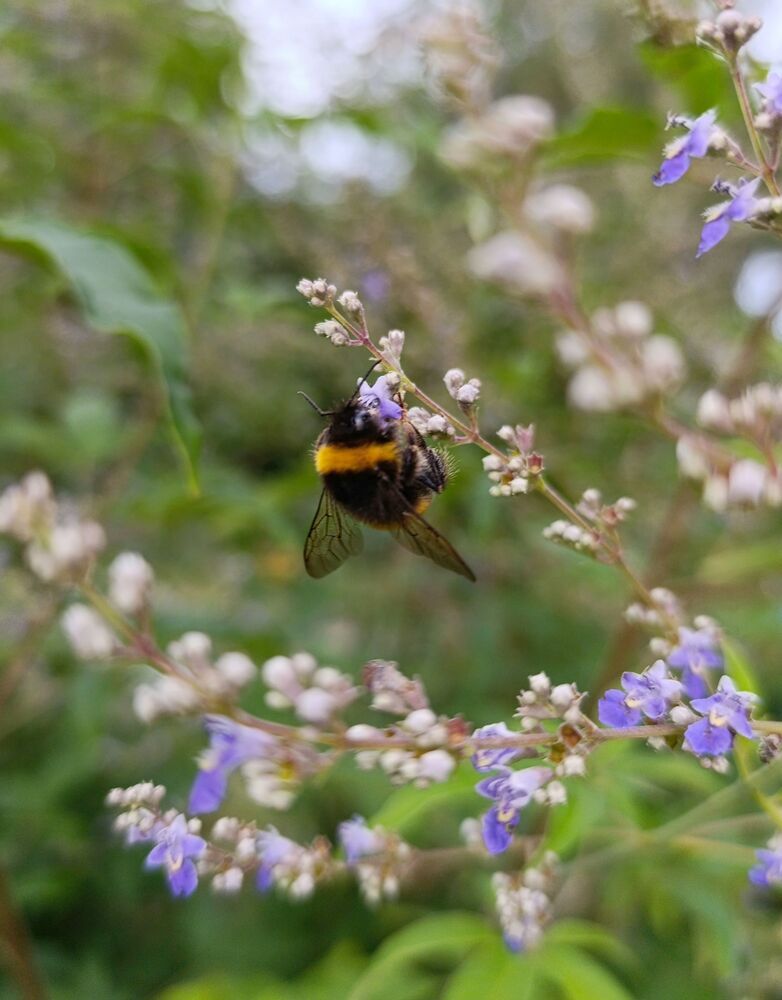 Фотография автора Михаил Бурминский