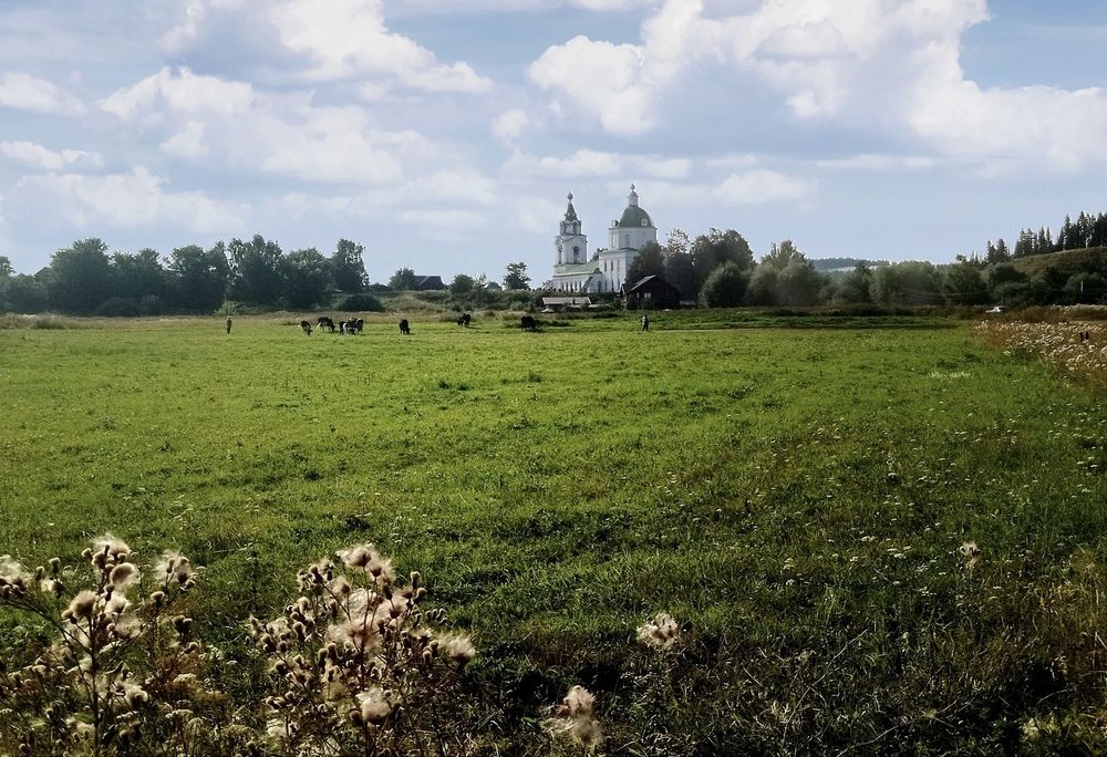 Photograph by Наталия
