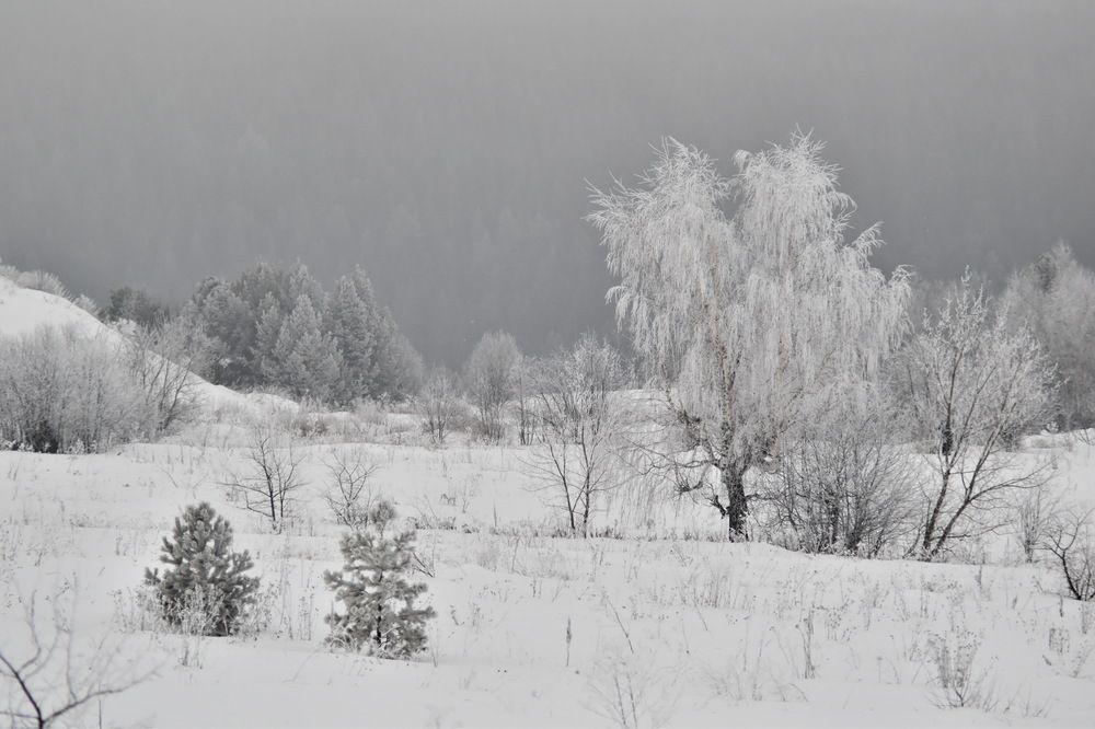 Photograph by Роман Пацкевич