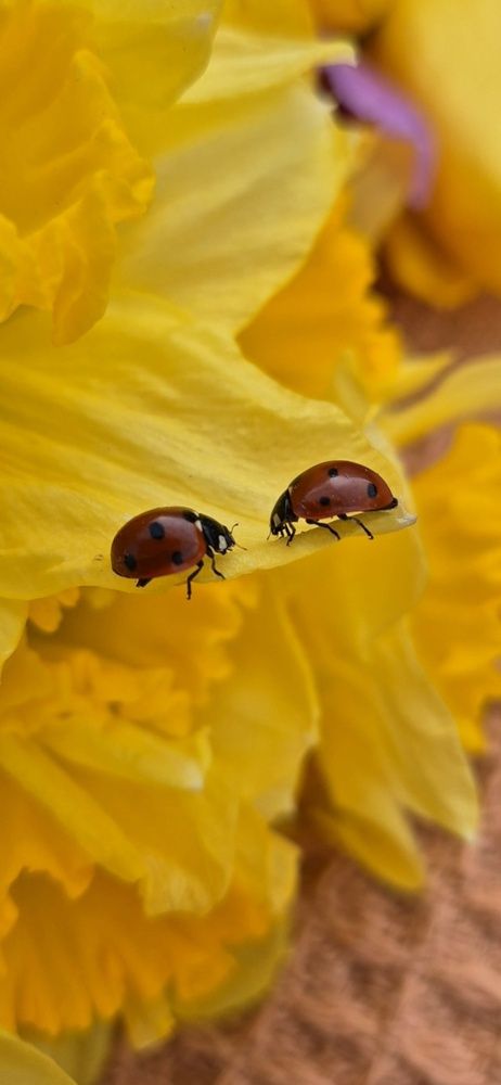 Фотография автора Ольга Мусина