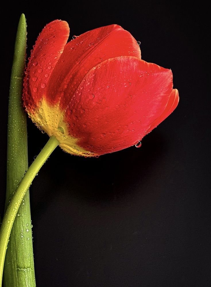 Photograph by Юлия Куклина