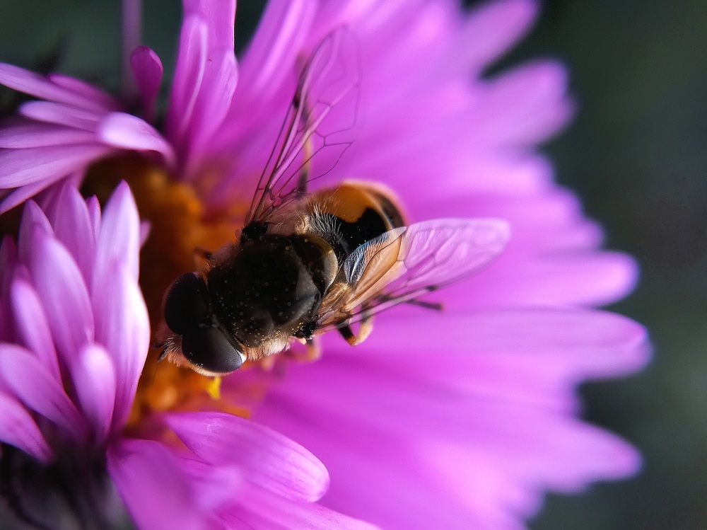 Photograph by Наталья Канищева-Медынская