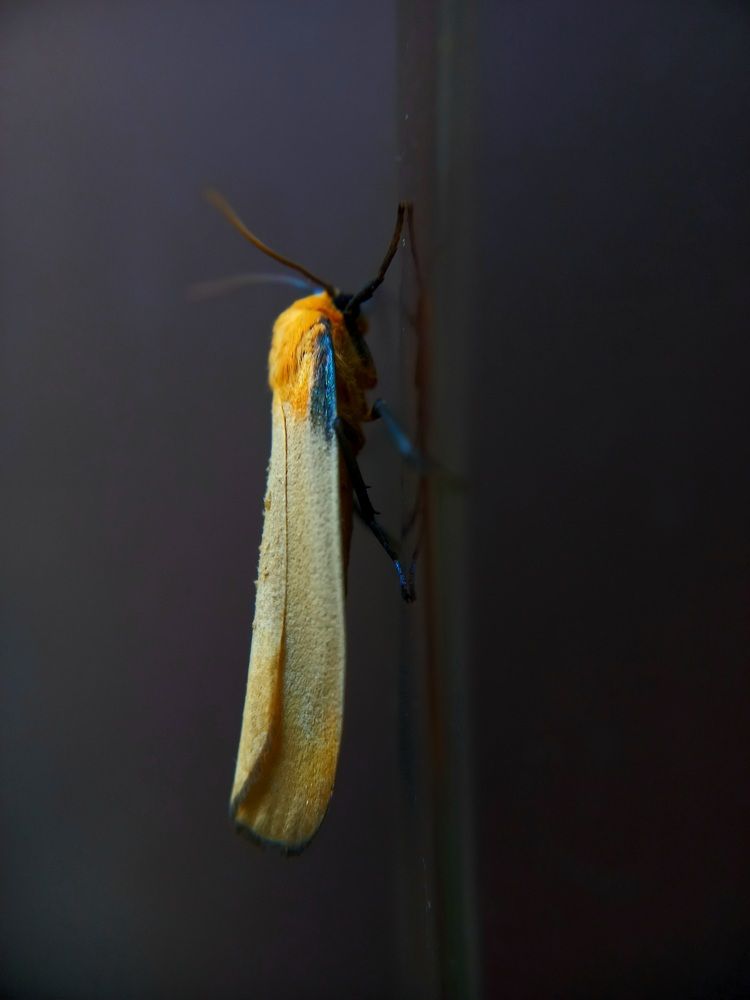 Photograph by Наталья Канищева-Медынская