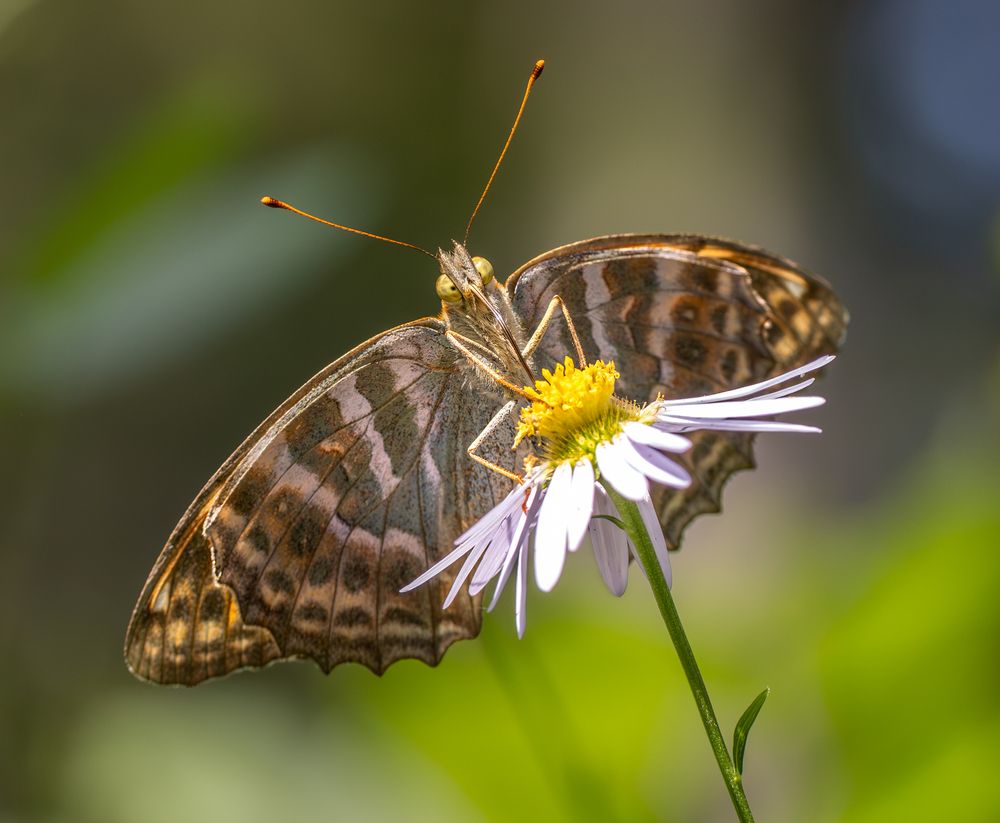 Взгляд снизу