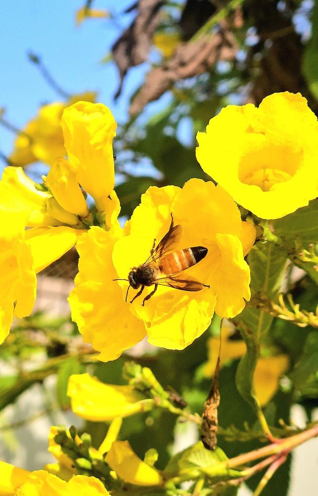 Photograph by Nirmalya Chakraborty