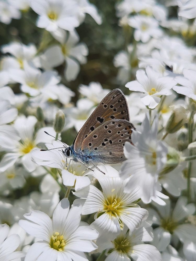 Photograph by Marina Gritchina