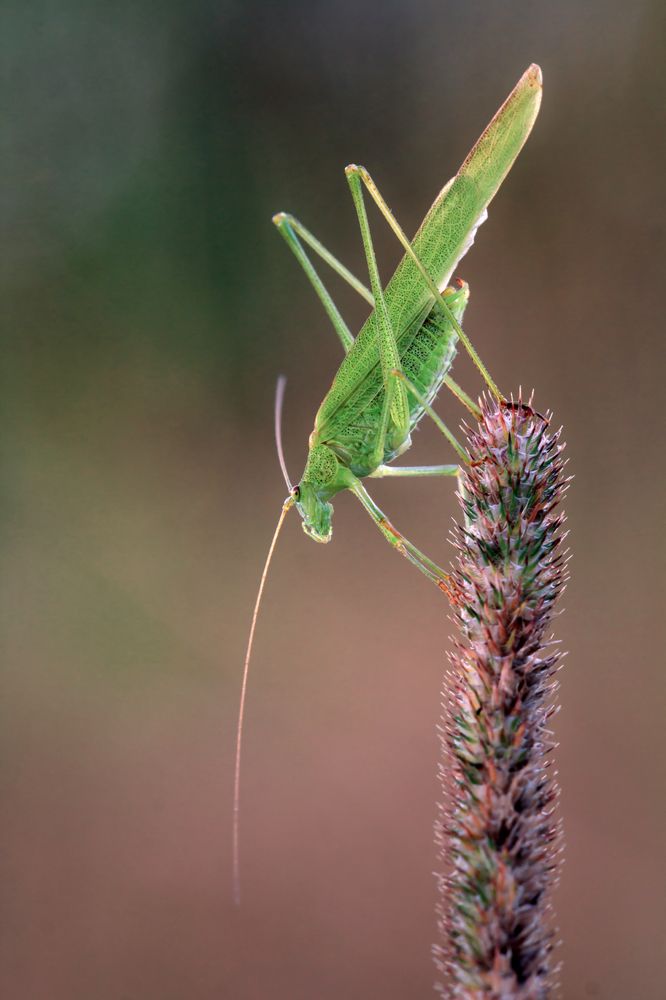 Photograph by Алексей Лобанов