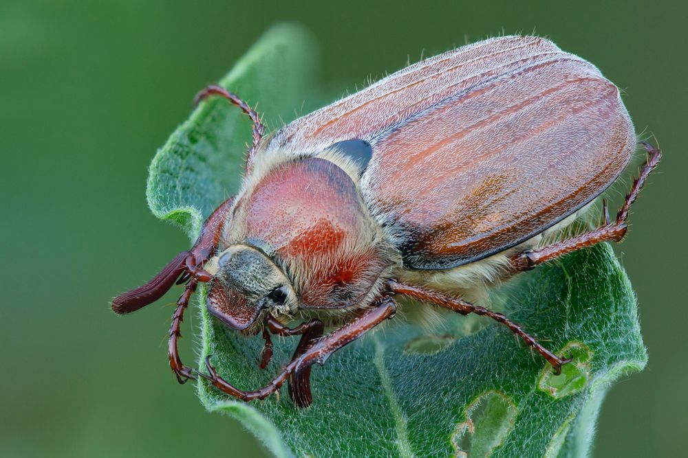 Photograph by Алексей Лобанов