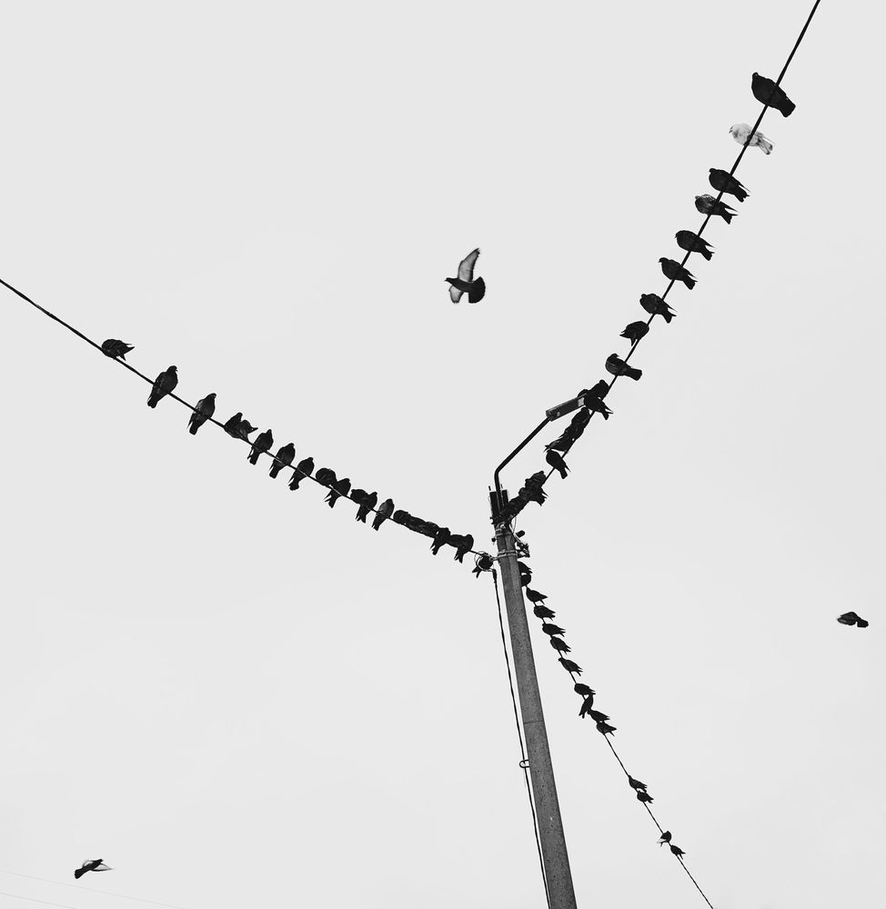 Фотография автора Елена Касаткина