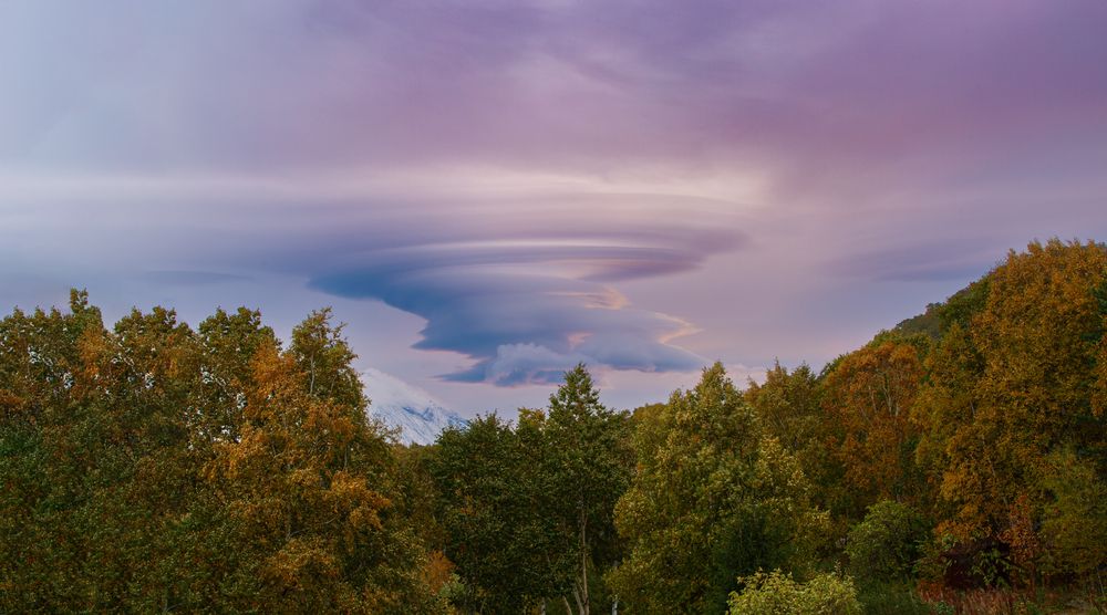 Photograph by Максин Александр