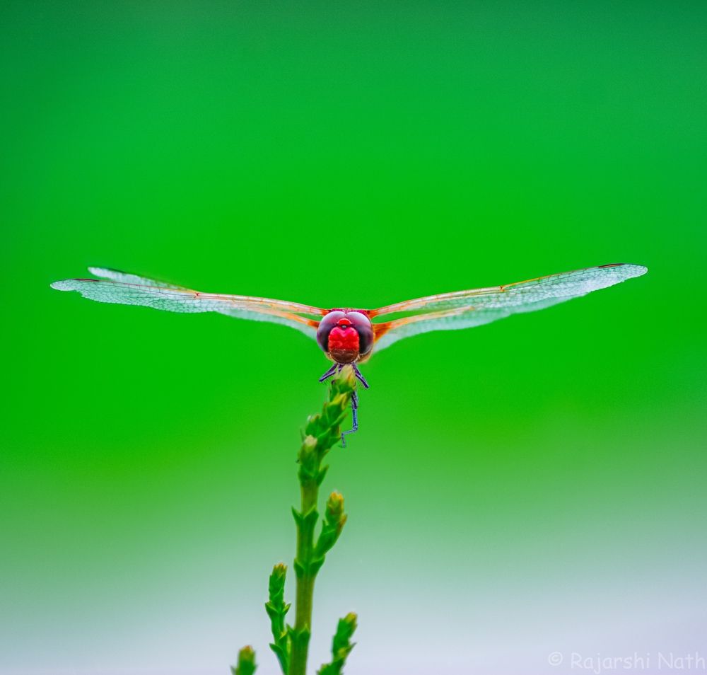 Ready For Takeoff