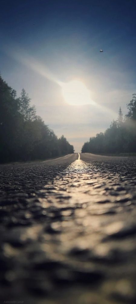Пролетающая мимо муха