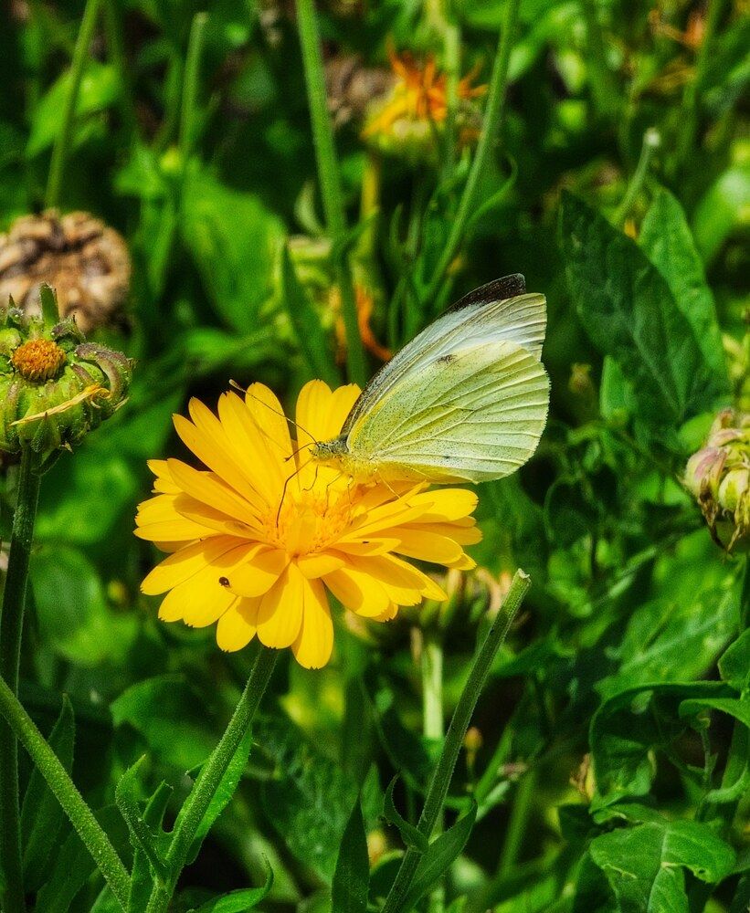 Photograph by Елена Ямнюк