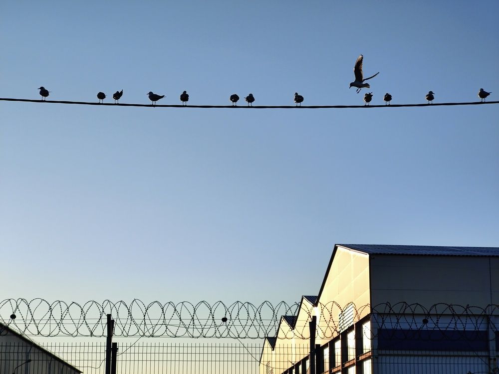 Photo #12085709