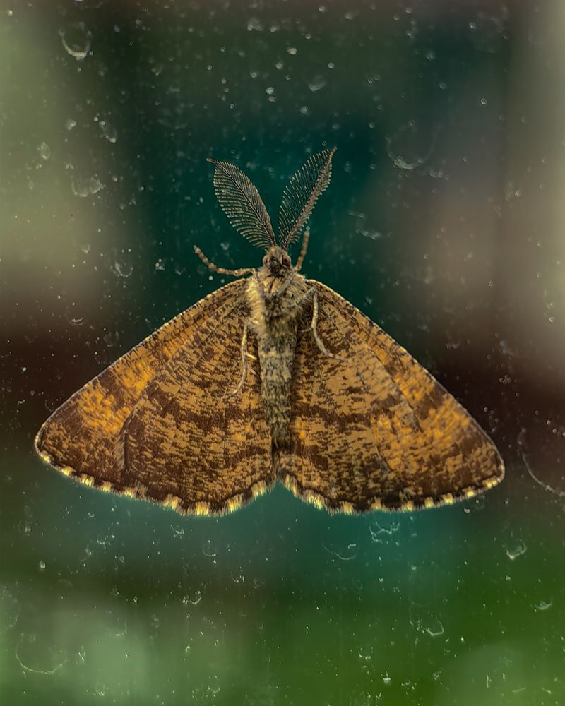 Photograph by Наталья Балабанова