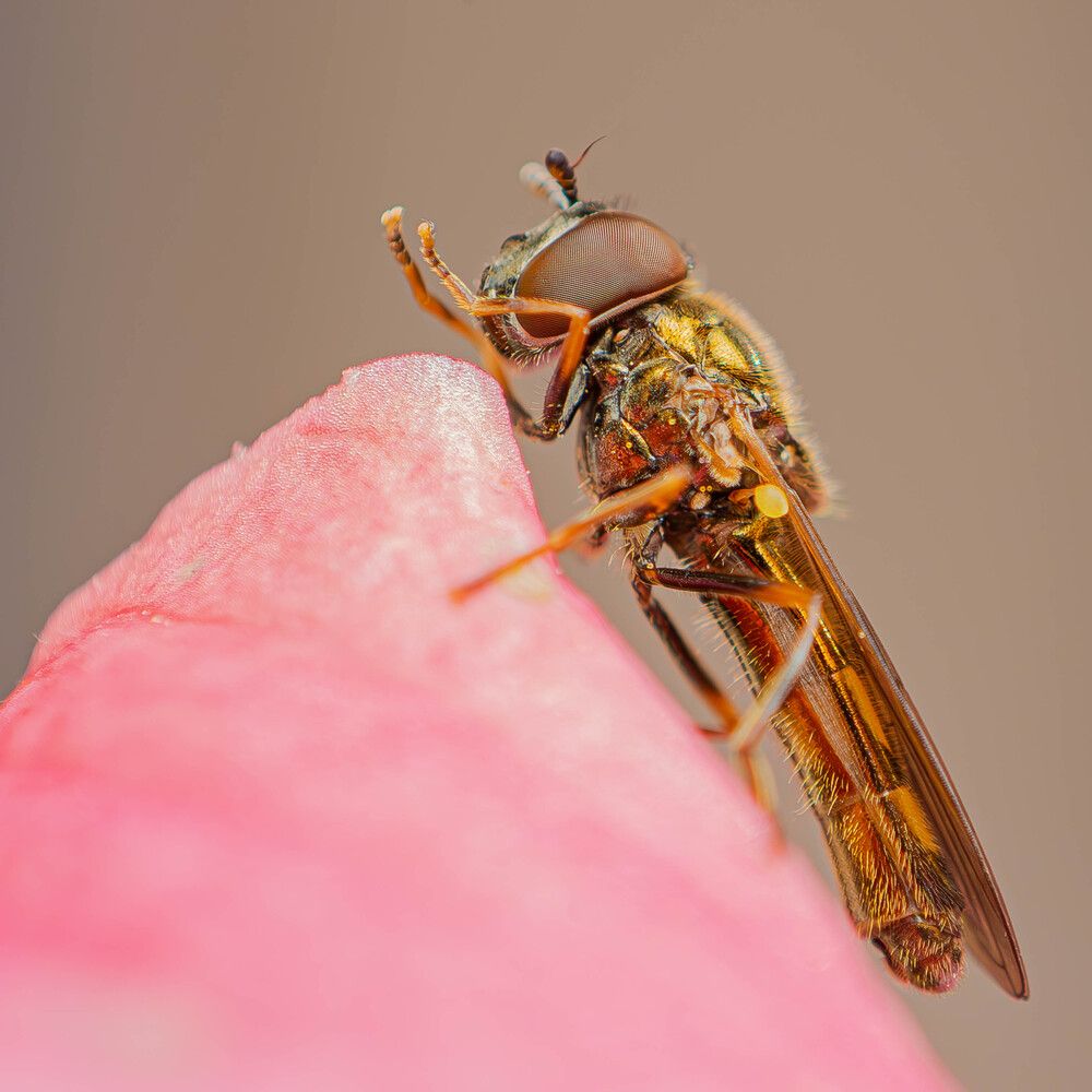 Photograph by Marianna Klein