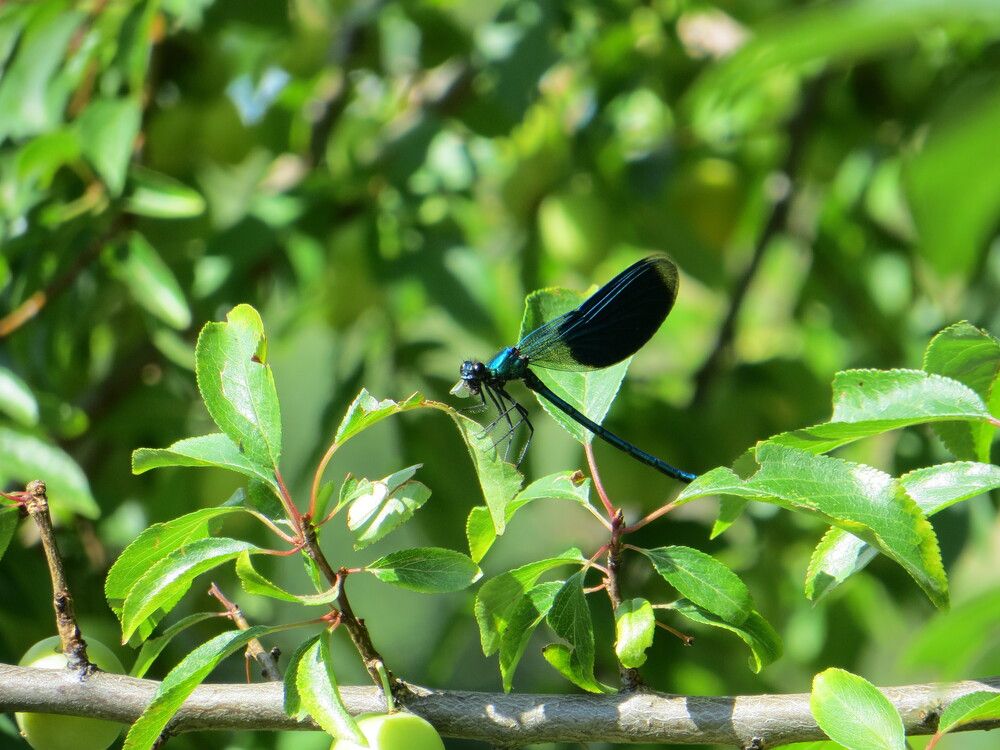 Photograph by Татьяна Поминова