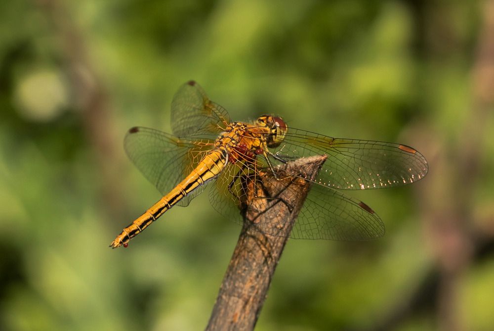 Фотография автора Дмитрий Климов