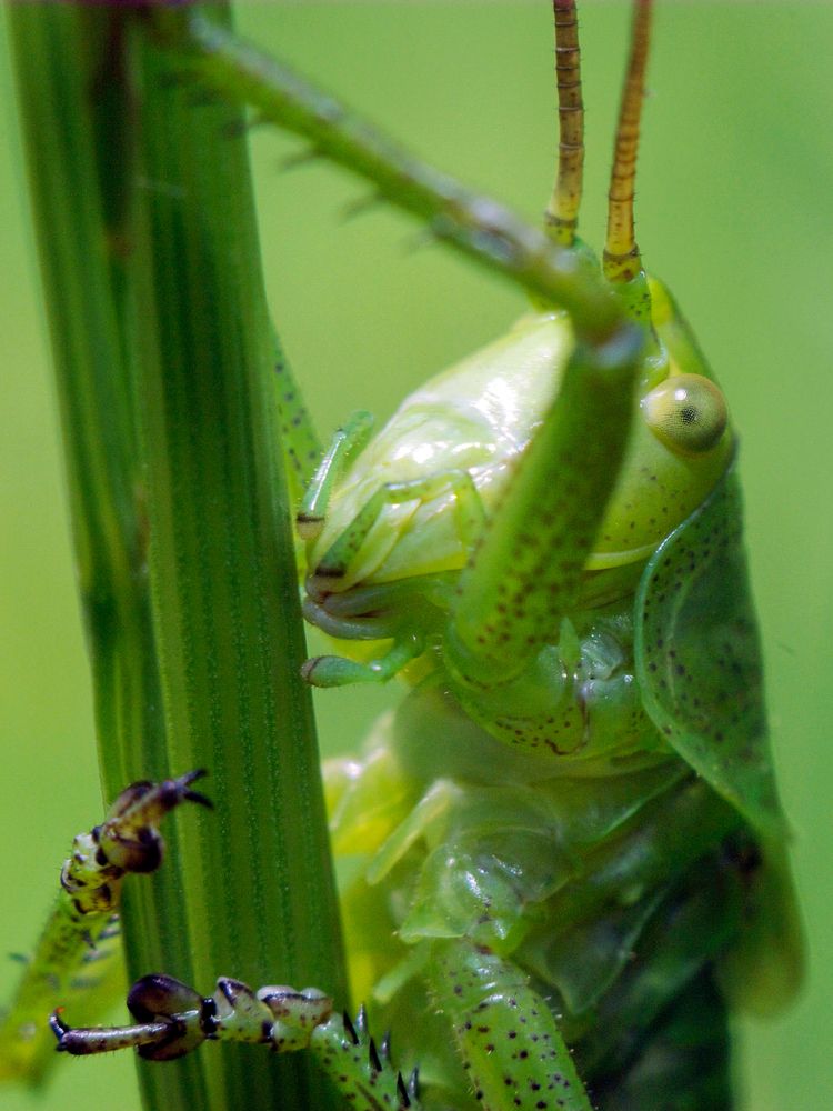 Photograph by Коваль Виктор