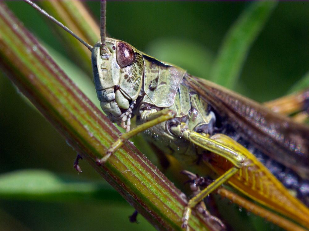 Photograph by Коваль Виктор