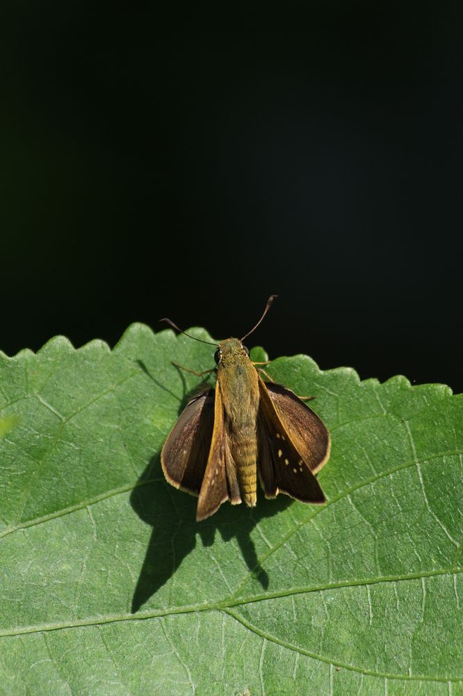 Photograph by shashiranjan prakash